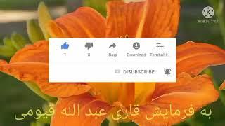 ترانه به فرمایش قاری عبدالله قیومی