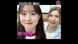 [엔믹스] 오해원 말대로 진짜 뿌앵하고 우는 설윤아
