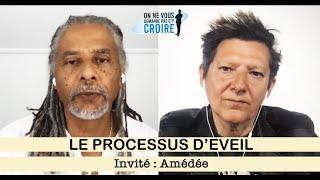 AMEDEE : Le processus d'éveil