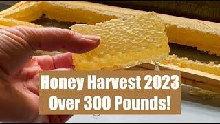 Honey Harvest 2023 ~ spring swarms, harvesting, extraction, bottling, and beeswax of whole season! 