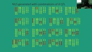 Liz Jones: Understanding the genetic architecture of quantitative traits in plant breeding ...