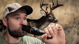 Best grunt call for BIG BUCKS!