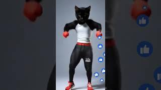 Meow kittens Let’s Dance #virtualpets #cat #cute #shorts #catdance #meow #kittyantics #cartoon