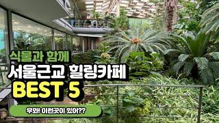 멀리 떠나지 않아도 숲속에 온듯한 느낌의 카페 Best5