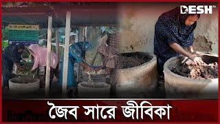 জৈব সার উৎপাদনে সফল সালেহা বেগম, ছেলেকে পাঠিয়েছেন বিদেশে | Moulvibazar | News | Desh TV