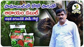 పామాయిల్ లో కోకో సాగుతో ఆదాయం రెట్టింపు| Success with cocoa cultivation in palm oil | Karshaka Mitra