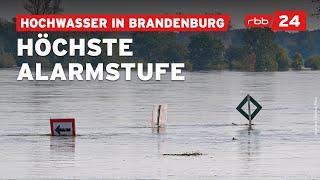 Hochwasser in Brandenburg: Landkreis Oder-Spree ruft höchste Alarmstufe aus