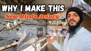 1st Day of New Birds Aviary | Why I Make This Birds Colony | Khubaib pets