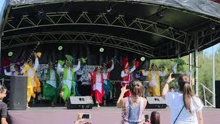 Holi Festival (Festival of Colours) at Docklands Melbourne | Folk Lovers Academy Bhangra