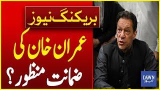 Latest Updates On Bail Application Of Imran Khan | Breaking News | Dawn News