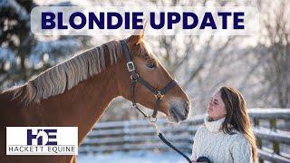 Blondie Update | PSSM | Diet and Hormones