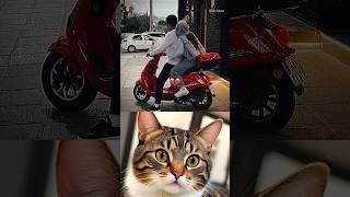 heart touching moment  #cat #memes #funny #trending