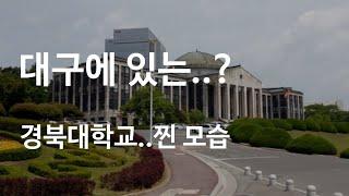 The most beautiful local university in Korea, Kyungpook National University