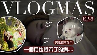 2024 VLOGMAS#5Vlogmas要暫停嗎?￼持續回購的隱形眼鏡￼東京和台灣買得最好的東西??聖誕放狗狗地點!!Heyman Lam