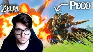 Reacting to the BEST Breath of the Wild Players in the WORLD