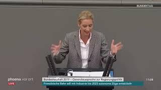 ALICE WEIDEL: DIE SCHOCKIERENDE WAHRHEIT ÜBER UNSERE POLITIKER! 