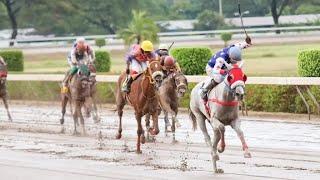 Caymanas Park Race Day Tips | Monday October 21, 2024