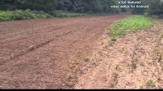 Creating another Missouri micro food plot