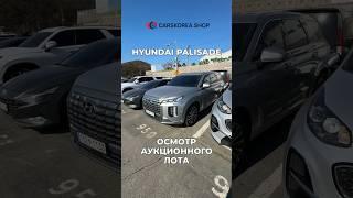 Hyundai Palisade - осмотр аукционного лота #carskorea #авто #hyundai #автоизкореи #palisade #shorts