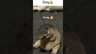 Greg 