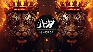 Tiger Dhun 2 - New ( Bass Mix) | DJ Aasif SK