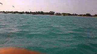 Delfines en Isla Aguada 2