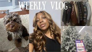 VLOG : I'M BLONDE , Holiday Decor is stressing me out , Puppy Pieces & Garlic Butter Chickpea Soup