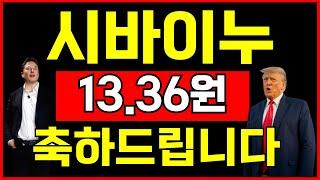 [시바이누 코인] 미리 축하드립니다! 단기 13.36원 상승! 트럼프발 호재연발! 무조건 쓸어담아라1