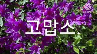 #고맙소 #조항조 #곡관소프라노 #연주