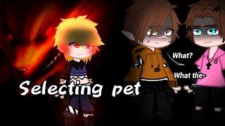 Selecting Pet/meme/Naruto/aniolyame