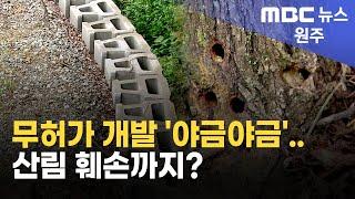 2025. 6. 23 [원주MBC] 무허가 개발 '야금야금'.. 산림 훼손까지?