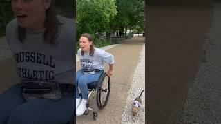 You don’t have to state the obvious.. #minivlog #puppy #doglover #disability #ytshorts #wheelchair