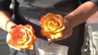 How to Preserve Flowers with Wax