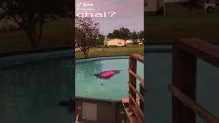 Going to swim MEME