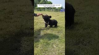 This family rescued a lost bear cub and then this happened...