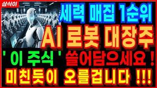 세력매집 1순위 AI 로봇 대장주 '이주식' 쓸어담으세요 미친듯이 오를겁니다 삼성로보틱스 현대차 휴머노이드로봇 삼성전자 레인보우로보틱스 로봇관련주 주가전망 목표가 전망 삼식이