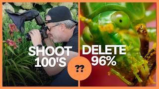 Improve Your Insect Macro Photography: Capture Many, Select the Best