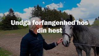 Undgå forfangenhed hos din hest