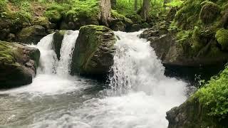 Relaxing Music | Relaxing Music For Stress Relief | Relax | Nature Mountains | Snow | Waterfalls |