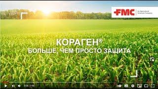 Кораген® - инсектицид от компании FMC: надежный контроль самых проблемных вредителей кукурузы!