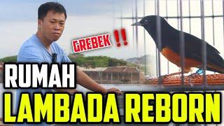 GREBEK ‼️ RUMAH LAMBADA REBORN..