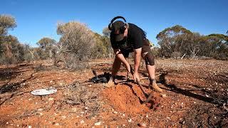 GPX 6000 - Detecting Western Australia part 5