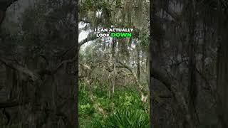 Breathtaking Valley View  Capturing the Beauty of Nature #landscapephotography  #jekyllisland