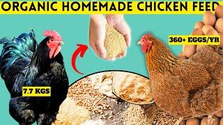 STOP WASTING MONEY ON BUYING CHICKEN FEED | USE THIS FEED FORMULA FOR IMPROVED & INDIGENOUS CHICKENS