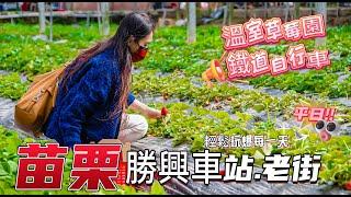 【老街系列】ep.9【勝興車站.老街】這6家必吃必玩美食景點．溫室草莓園．平日苗栗三義勝興車站舊山線鐵道自行車．三義採草莓．三丘景觀餐廳．勝興客棧．台灣旅遊美食．龍騰斷橋．大湖草莓．小吃．