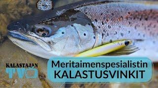 Meritaimenspesialistin kalastusvinkit | Kalastajan TV