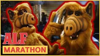 ALF in Danger  ALF | FULL Episode Marathon