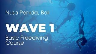 Basic Freediving Course - Wave 1