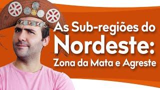 AS SUB-REGIÕES DO NORDESTE: ZONA DA MATA E AGRESTE (CLIMA, AGRICULTURA, ECONOMIA)