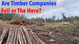 Are Timber Companies Destroying Our Forests or Saving Them?